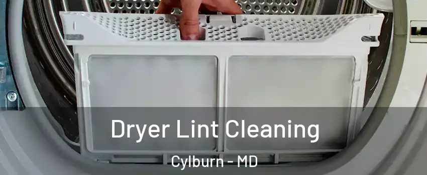 Dryer Lint Cleaning Cylburn - MD