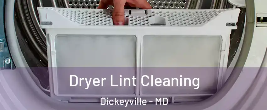 Dryer Lint Cleaning Dickeyville - MD