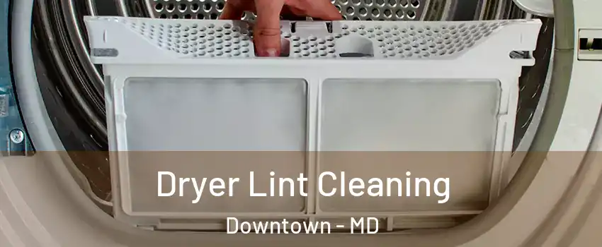 Dryer Lint Cleaning Downtown - MD