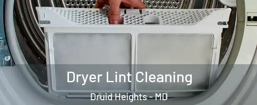 Dryer Lint Cleaning Druid Heights - MD