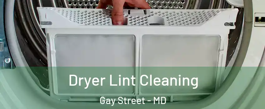 Dryer Lint Cleaning Gay Street - MD