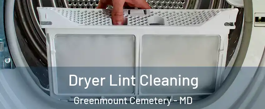 Dryer Lint Cleaning Greenmount Cemetery - MD