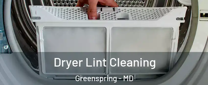 Dryer Lint Cleaning Greenspring - MD