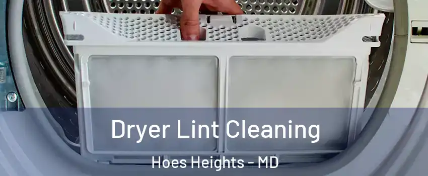 Dryer Lint Cleaning Hoes Heights - MD