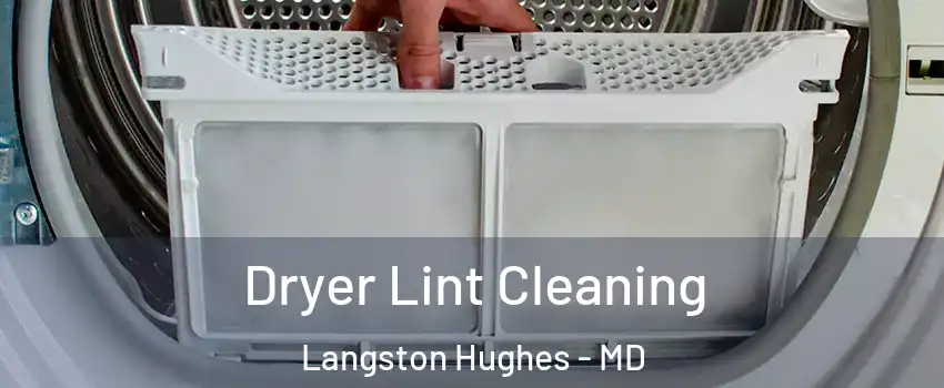 Dryer Lint Cleaning Langston Hughes - MD