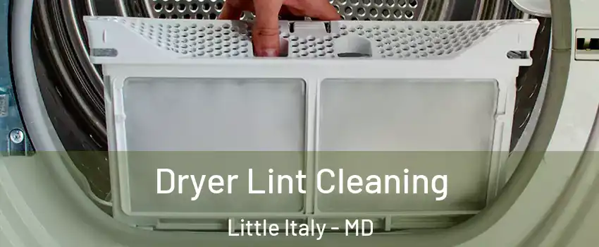 Dryer Lint Cleaning Little Italy - MD