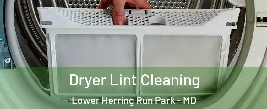 Dryer Lint Cleaning Lower Herring Run Park - MD