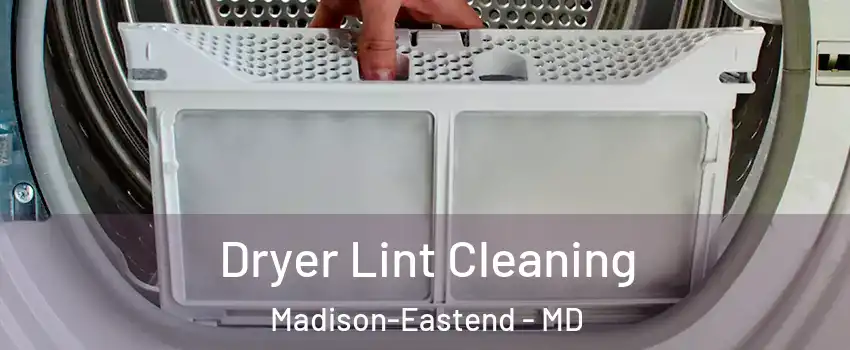 Dryer Lint Cleaning Madison-Eastend - MD
