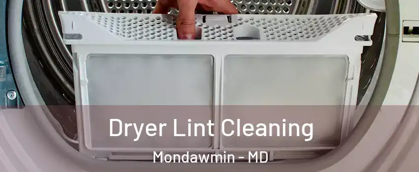 Dryer Lint Cleaning Mondawmin - MD