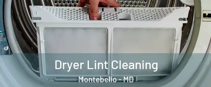 Dryer Lint Cleaning Montebello - MD