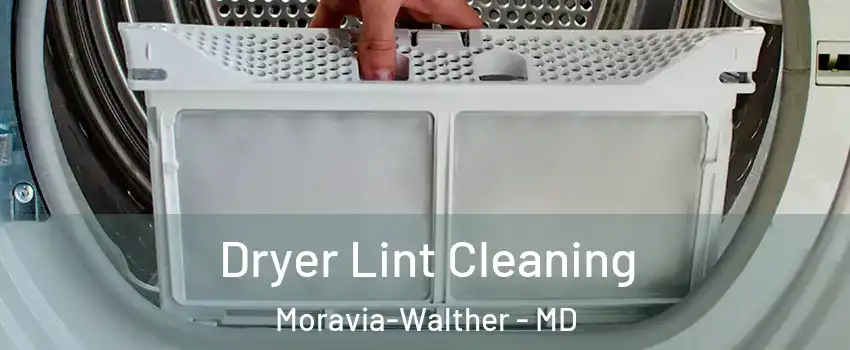 Dryer Lint Cleaning Moravia-Walther - MD