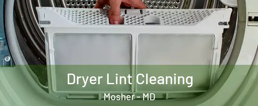 Dryer Lint Cleaning Mosher - MD