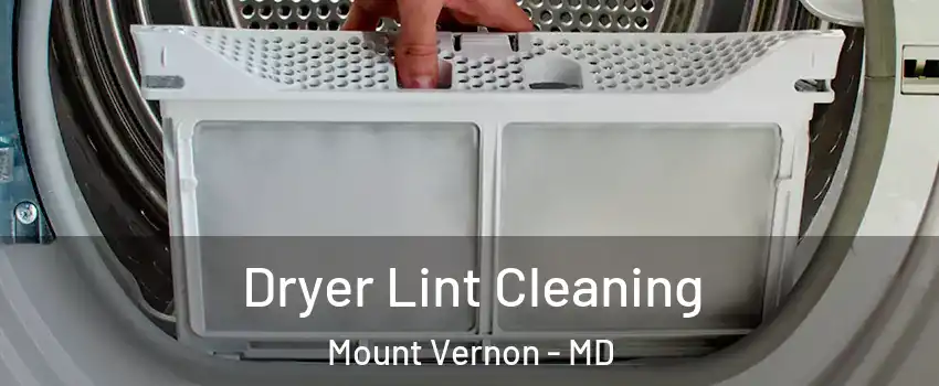 Dryer Lint Cleaning Mount Vernon - MD
