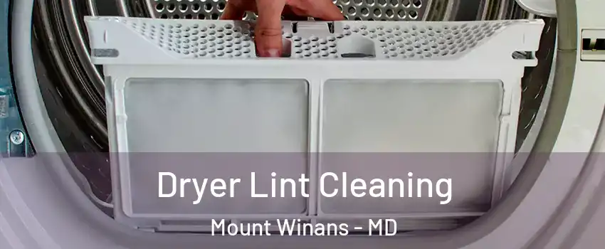 Dryer Lint Cleaning Mount Winans - MD