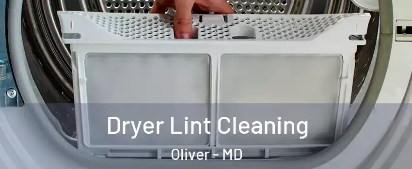 Dryer Lint Cleaning Oliver - MD