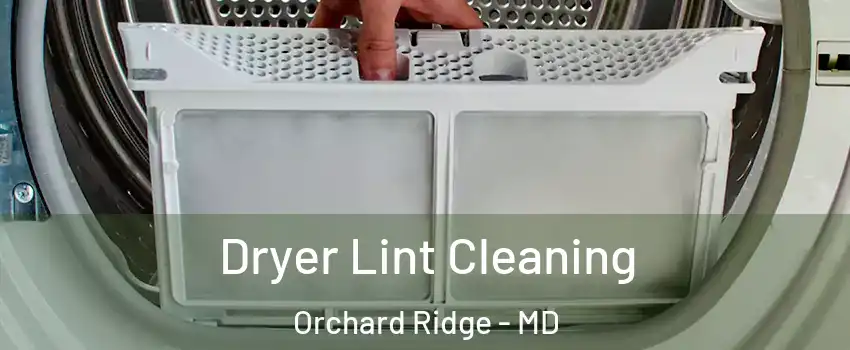 Dryer Lint Cleaning Orchard Ridge - MD