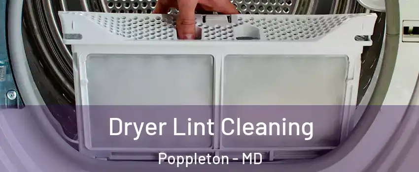 Dryer Lint Cleaning Poppleton - MD