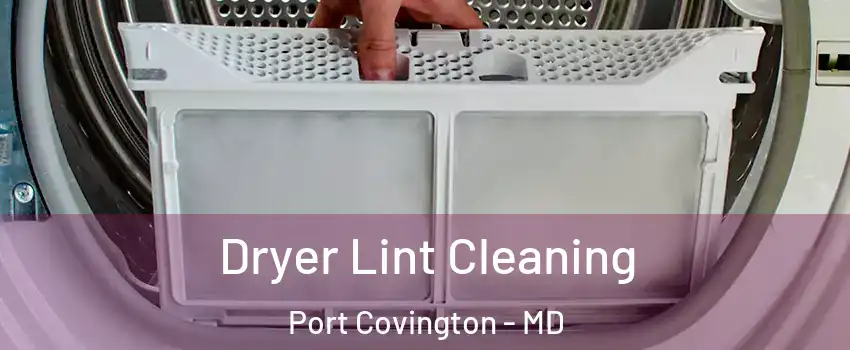 Dryer Lint Cleaning Port Covington - MD