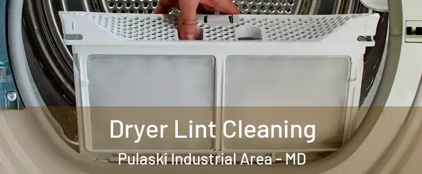 Dryer Lint Cleaning Pulaski Industrial Area - MD