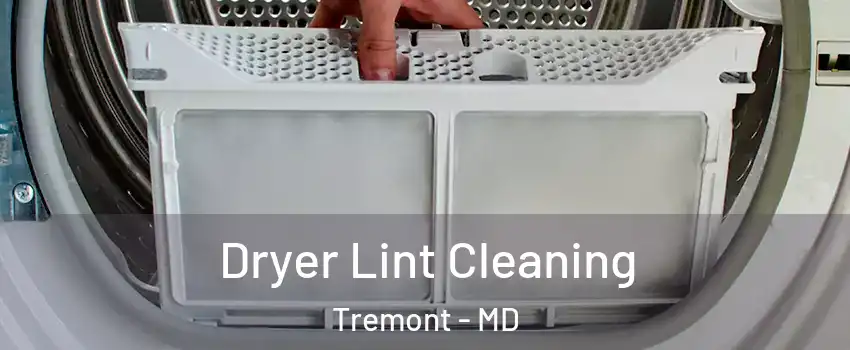 Dryer Lint Cleaning Tremont - MD