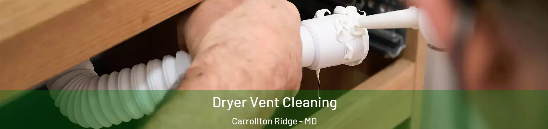 Dryer Vent Cleaning Carrollton Ridge - MD