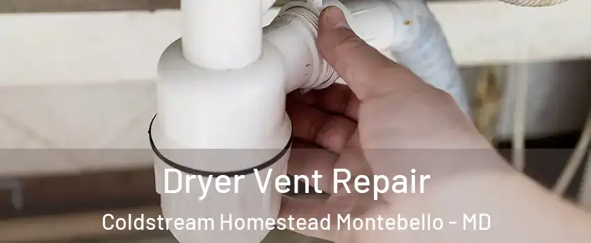 Dryer Vent Repair Coldstream Homestead Montebello - MD