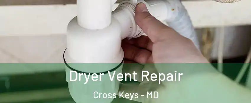 Dryer Vent Repair Cross Keys - MD