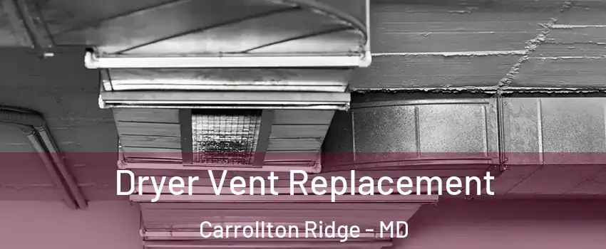 Dryer Vent Replacement Carrollton Ridge - MD