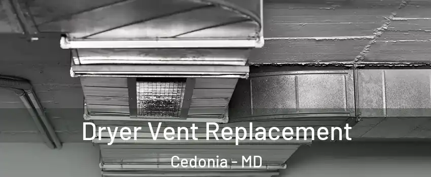 Dryer Vent Replacement Cedonia - MD