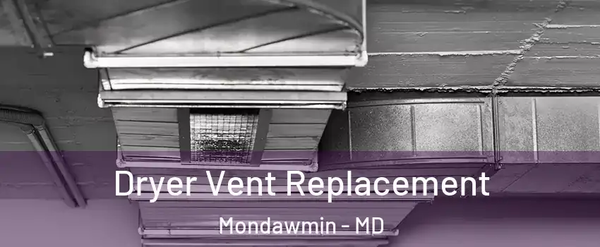 Dryer Vent Replacement Mondawmin - MD