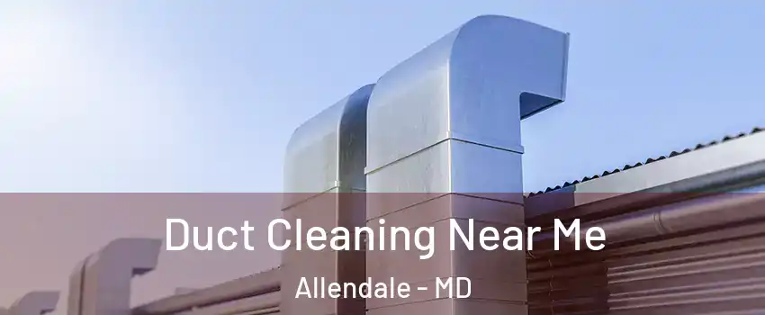 Duct Cleaning Near Me Allendale - MD