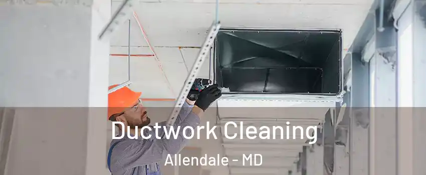 Ductwork Cleaning Allendale - MD