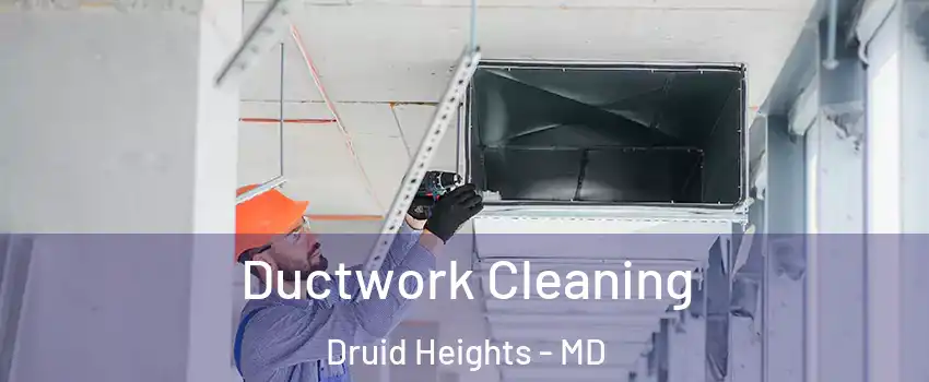 Ductwork Cleaning Druid Heights - MD