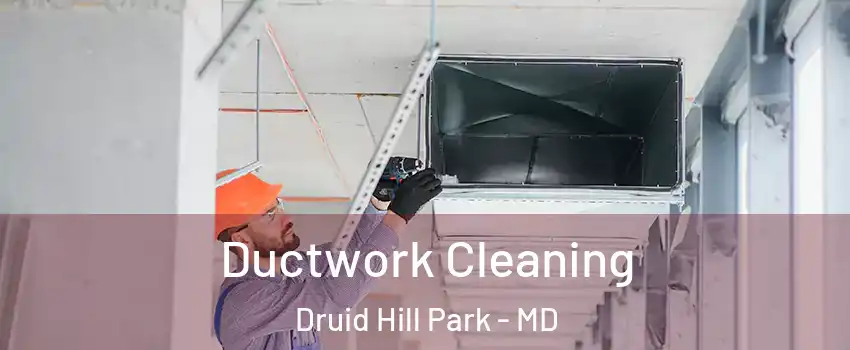 Ductwork Cleaning Druid Hill Park - MD
