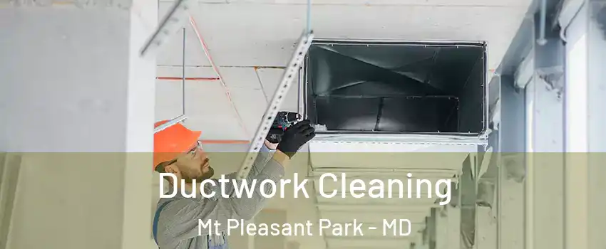 Ductwork Cleaning Mt Pleasant Park - MD