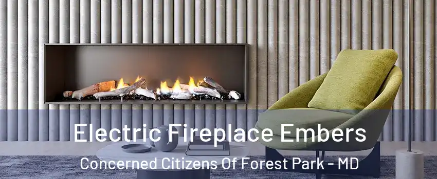 Electric Fireplace Embers Concerned Citizens Of Forest Park - MD