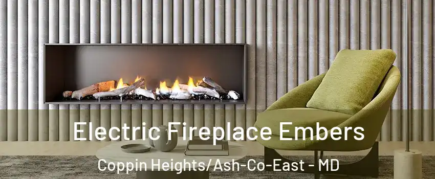 Electric Fireplace Embers Coppin Heights/Ash-Co-East - MD