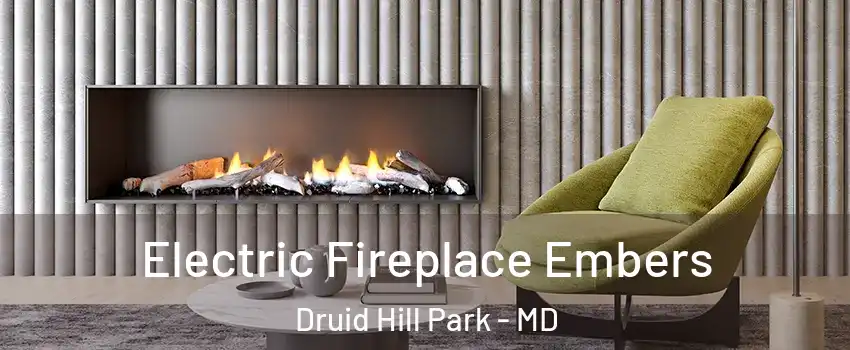 Electric Fireplace Embers Druid Hill Park - MD