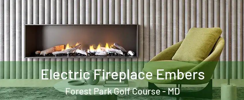 Electric Fireplace Embers Forest Park Golf Course - MD