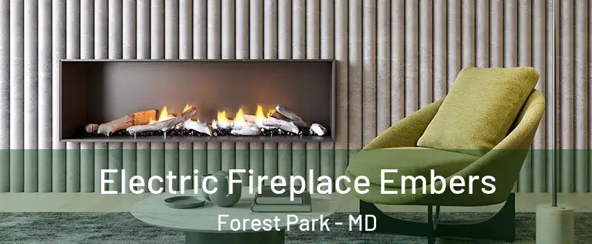 Electric Fireplace Embers Forest Park - MD