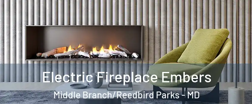 Electric Fireplace Embers Middle Branch/Reedbird Parks - MD