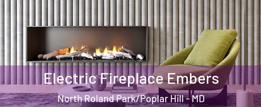 Electric Fireplace Embers North Roland Park/Poplar Hill - MD