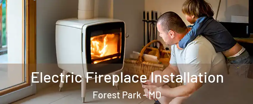 Electric Fireplace Installation Forest Park - MD