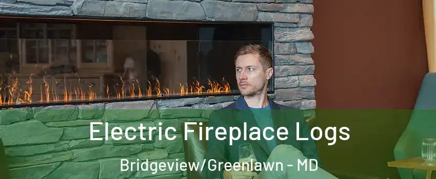 Electric Fireplace Logs Bridgeview/Greenlawn - MD