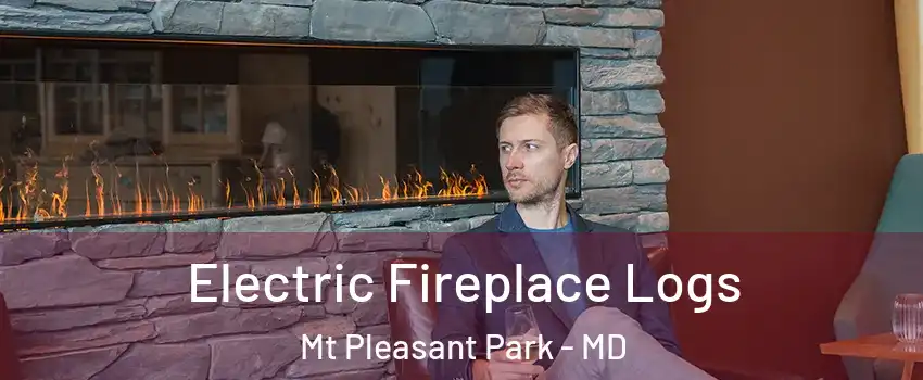 Electric Fireplace Logs Mt Pleasant Park - MD
