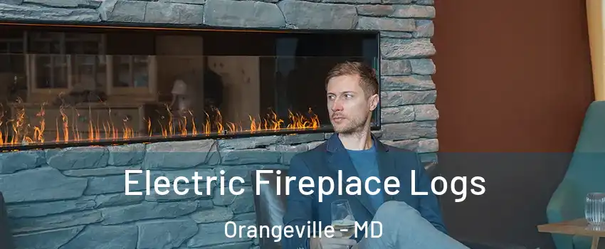 Electric Fireplace Logs Orangeville - MD