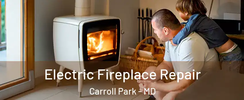Electric Fireplace Repair Carroll Park - MD