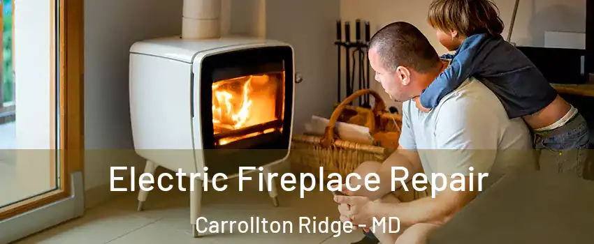 Electric Fireplace Repair Carrollton Ridge - MD