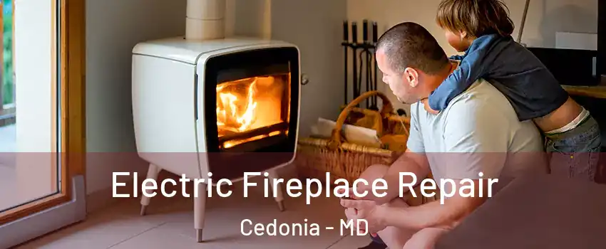 Electric Fireplace Repair Cedonia - MD