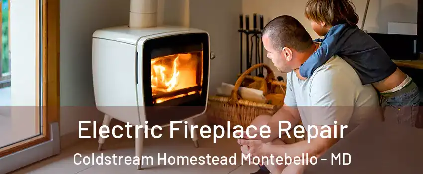Electric Fireplace Repair Coldstream Homestead Montebello - MD